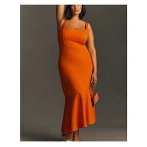 Anthropologie Plus Size Dress